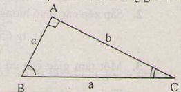 Hệ thức về cạnh và góc trong tam giác vuông