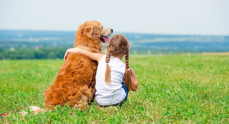 Tại sao nên nuôi một chú chó trong gia đình
