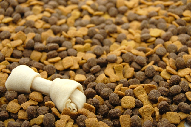 Tại sao không nên cho chó ăn thức ăn khô?