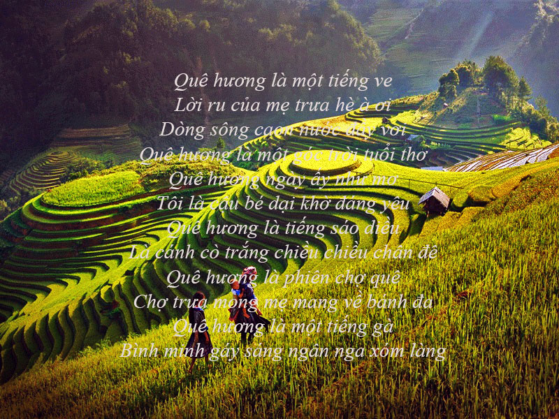 Các thể thơ Việt Nam nổi tiếng, phổ biến và hữu dụng nhất