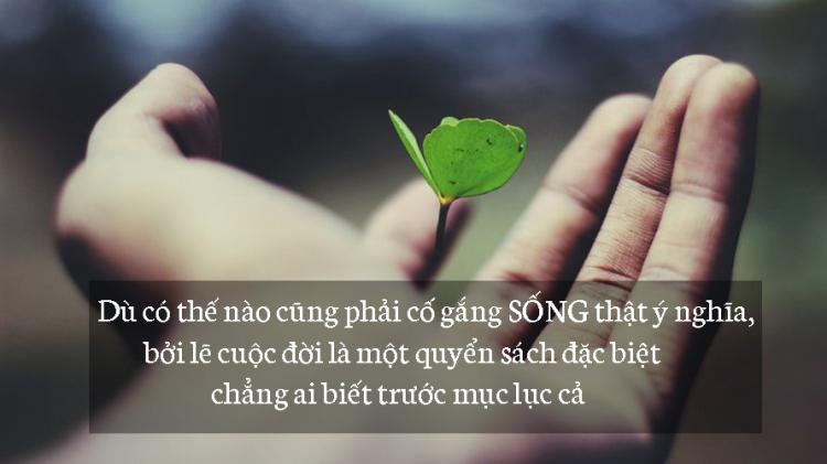 BST 999+ Hình ảnh Câu Nói Hay Về Cuộc Sống cực thấm thía BST 999+ Hình ảnh Câu Nói Hay Về Cuộc Sống cực thấm thía