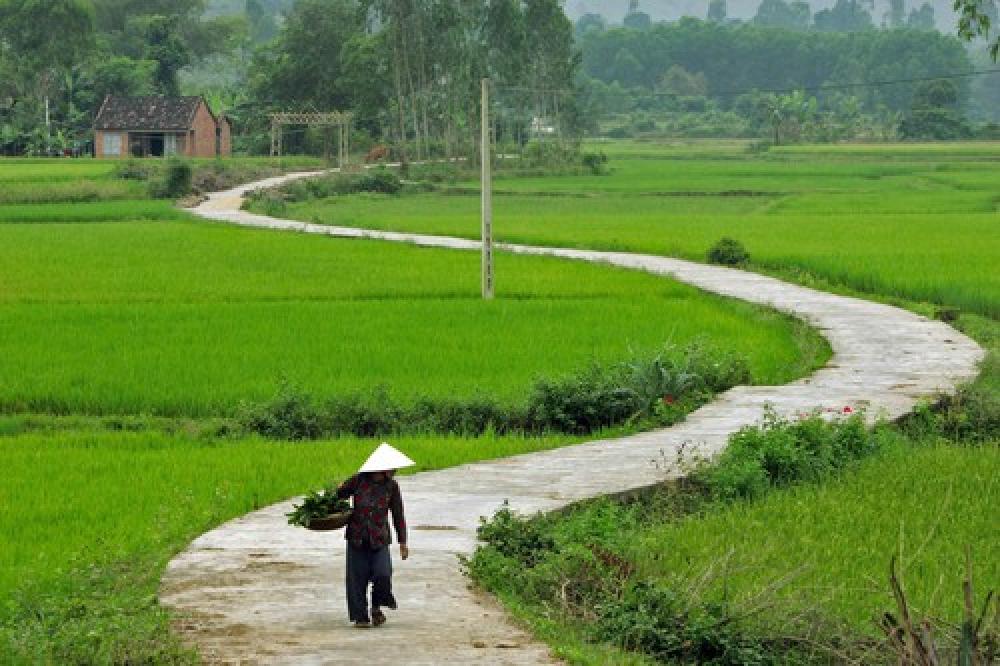 [TOP] 333+ Hình ảnh làng quê Việt Nam ngày xưa yên bình, thơ mộng