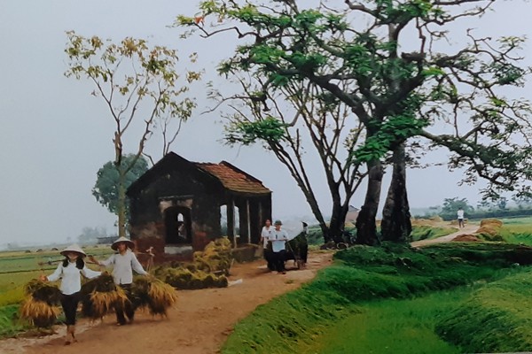 [TOP] 333+ Hình ảnh làng quê Việt Nam ngày xưa yên bình, thơ mộng