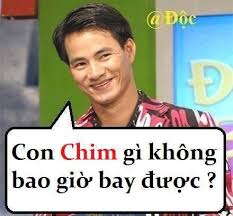 [Kho] 888+ Hình ảnh chế hài hước, vui nhộn cực bá đạo