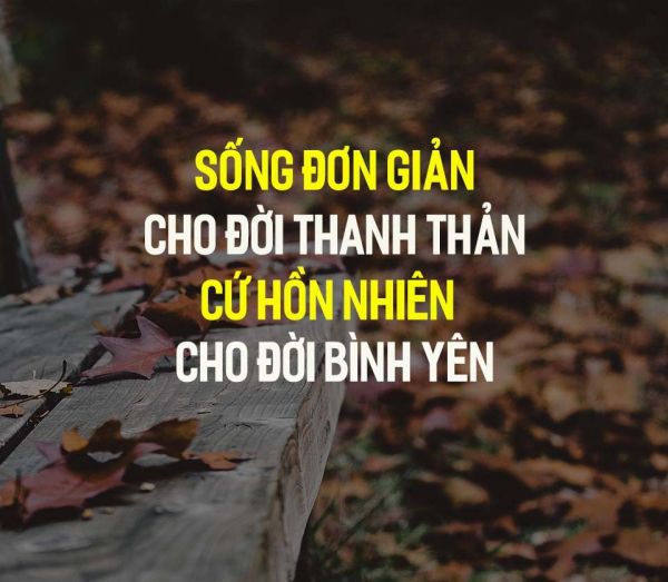 [TOP #1] Những câu nói hay về cuộc sống bình yên, an lành nhất