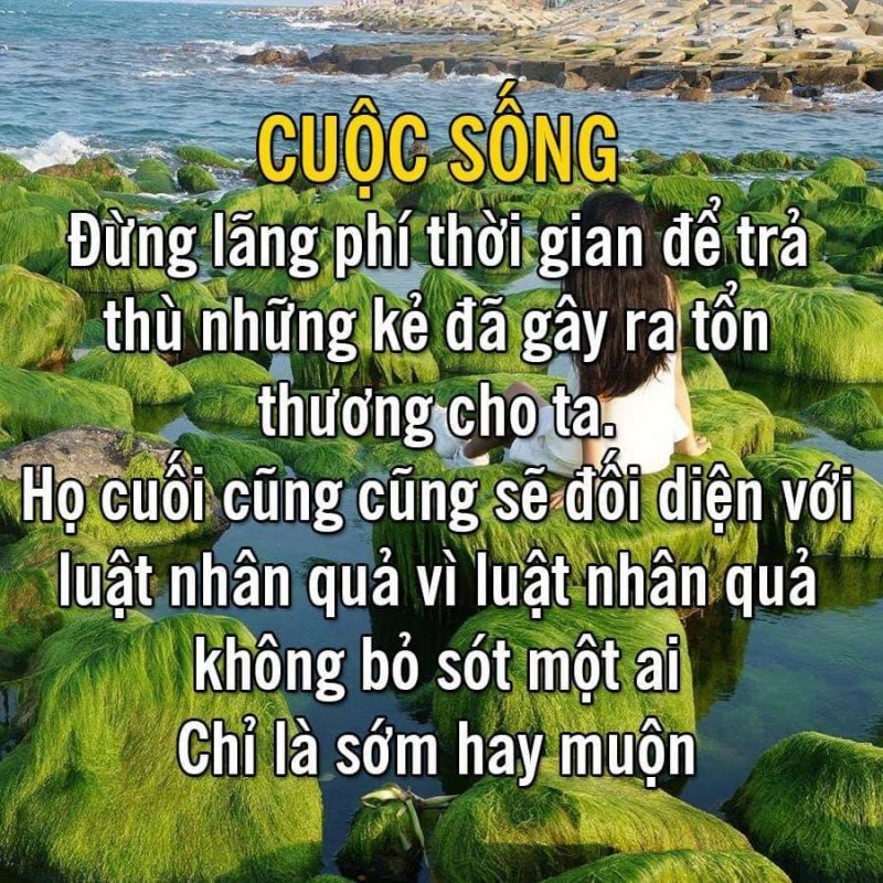 [TOP #1] Những câu nói hay về cuộc sống bình yên, an lành nhất