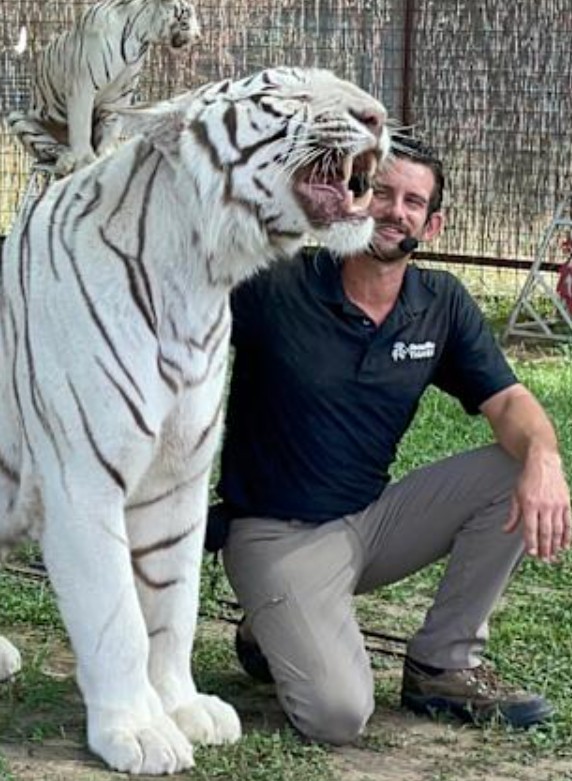 Ryan Easley Tiger Video and Oklahoma Attack Ryan Easley Tiger Video and Oklahoma Attack